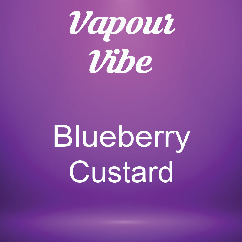 Vapour Vibe - Blueberry Custard - 120ml